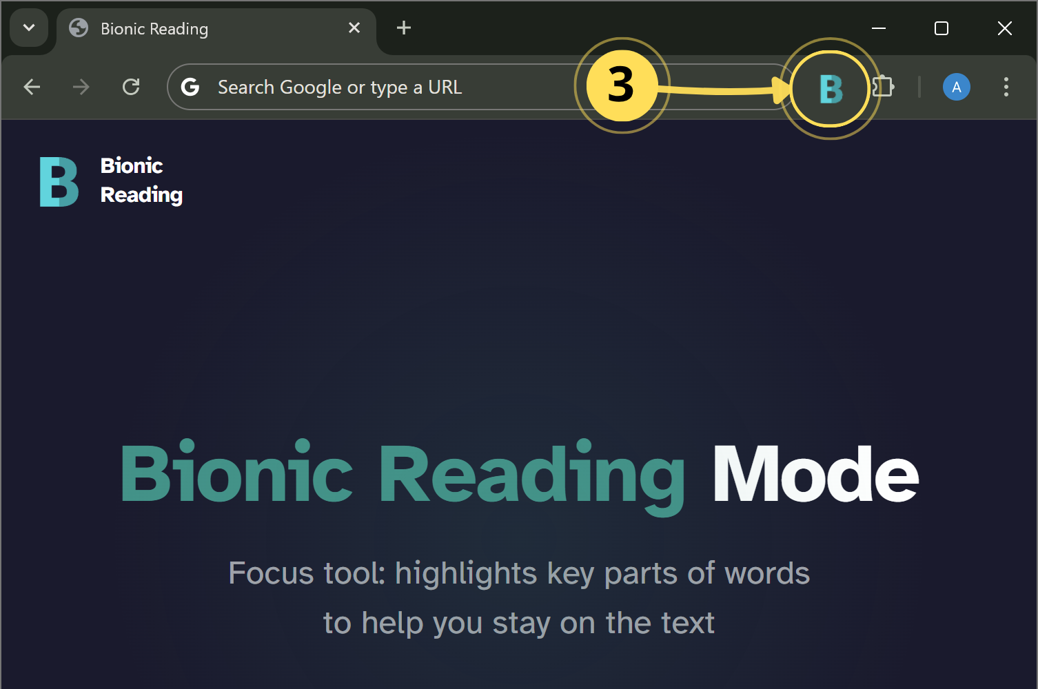 Step 2 — Click the extension icon